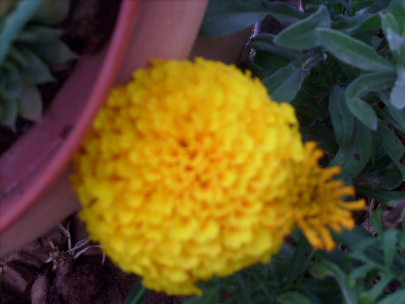 S7301700.JPG
