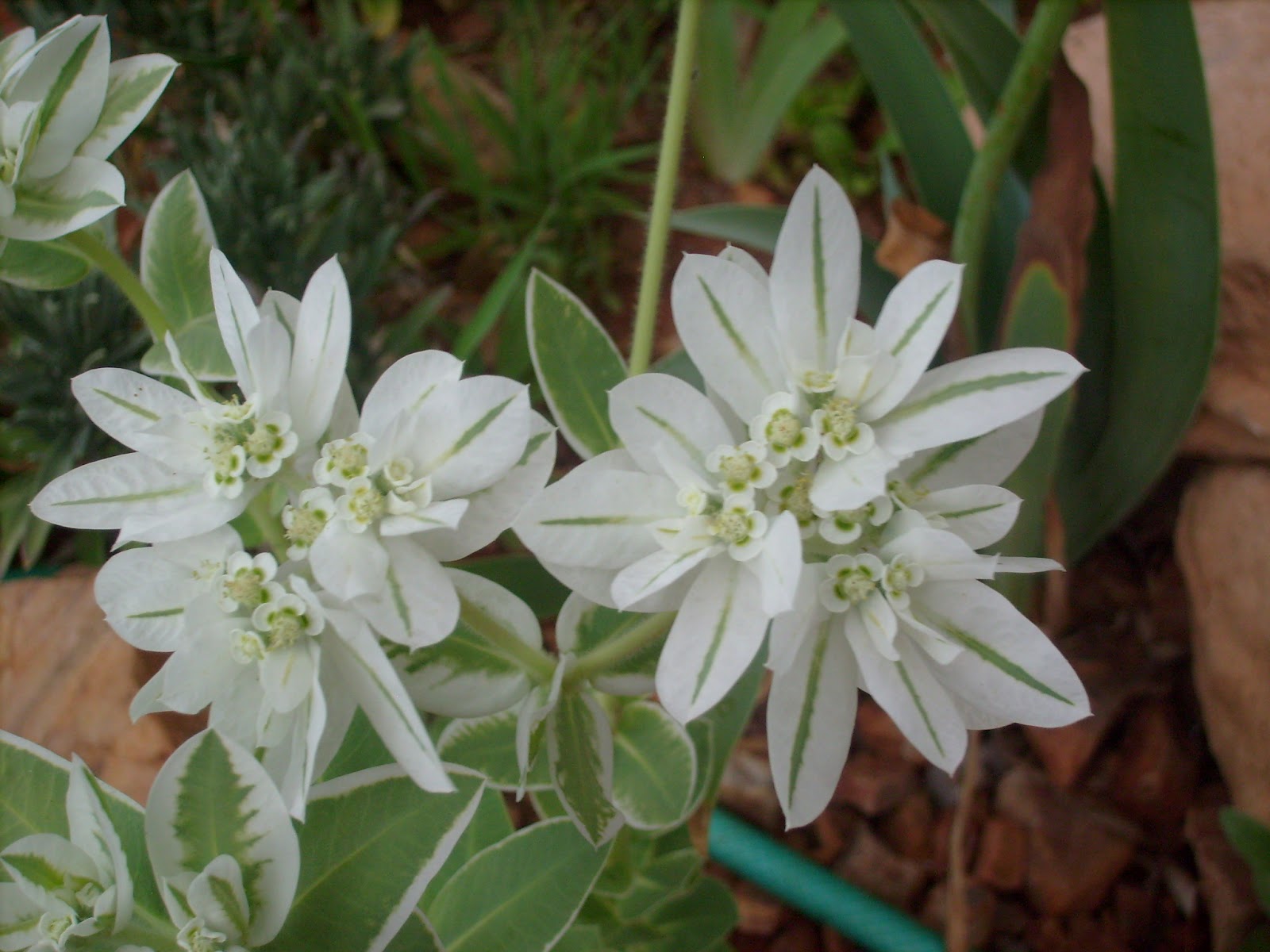 S7301701.JPG