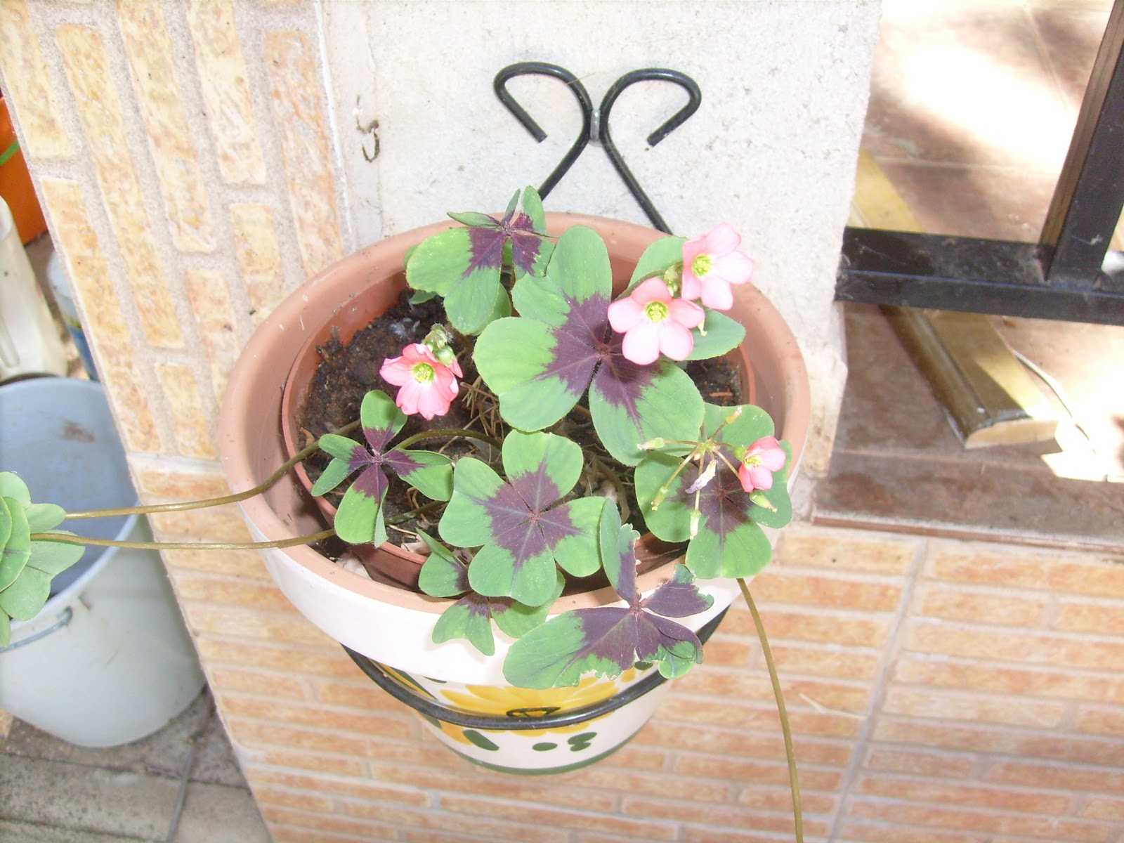S7301754.JPG