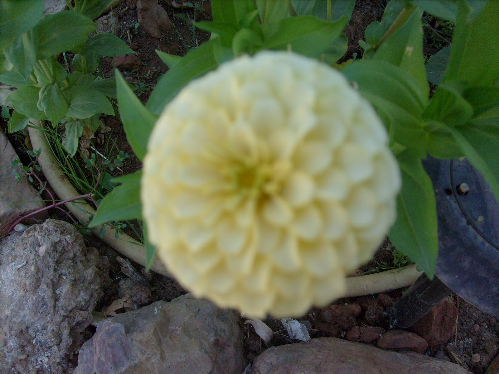 S7301757.JPG