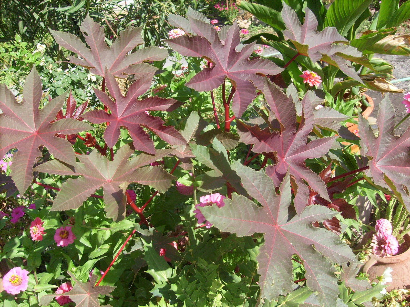 S7301768.JPG
