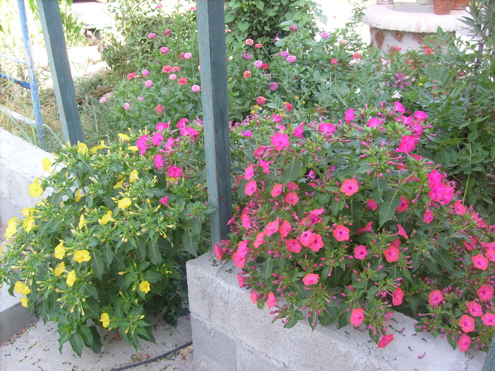 S7301770.JPG
