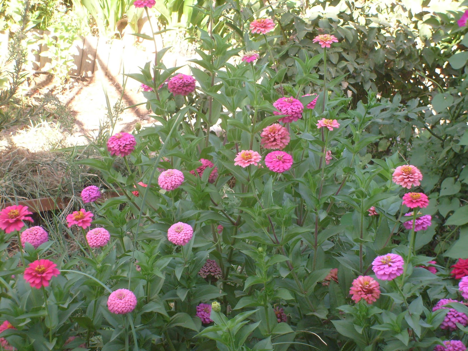 S7301771.JPG