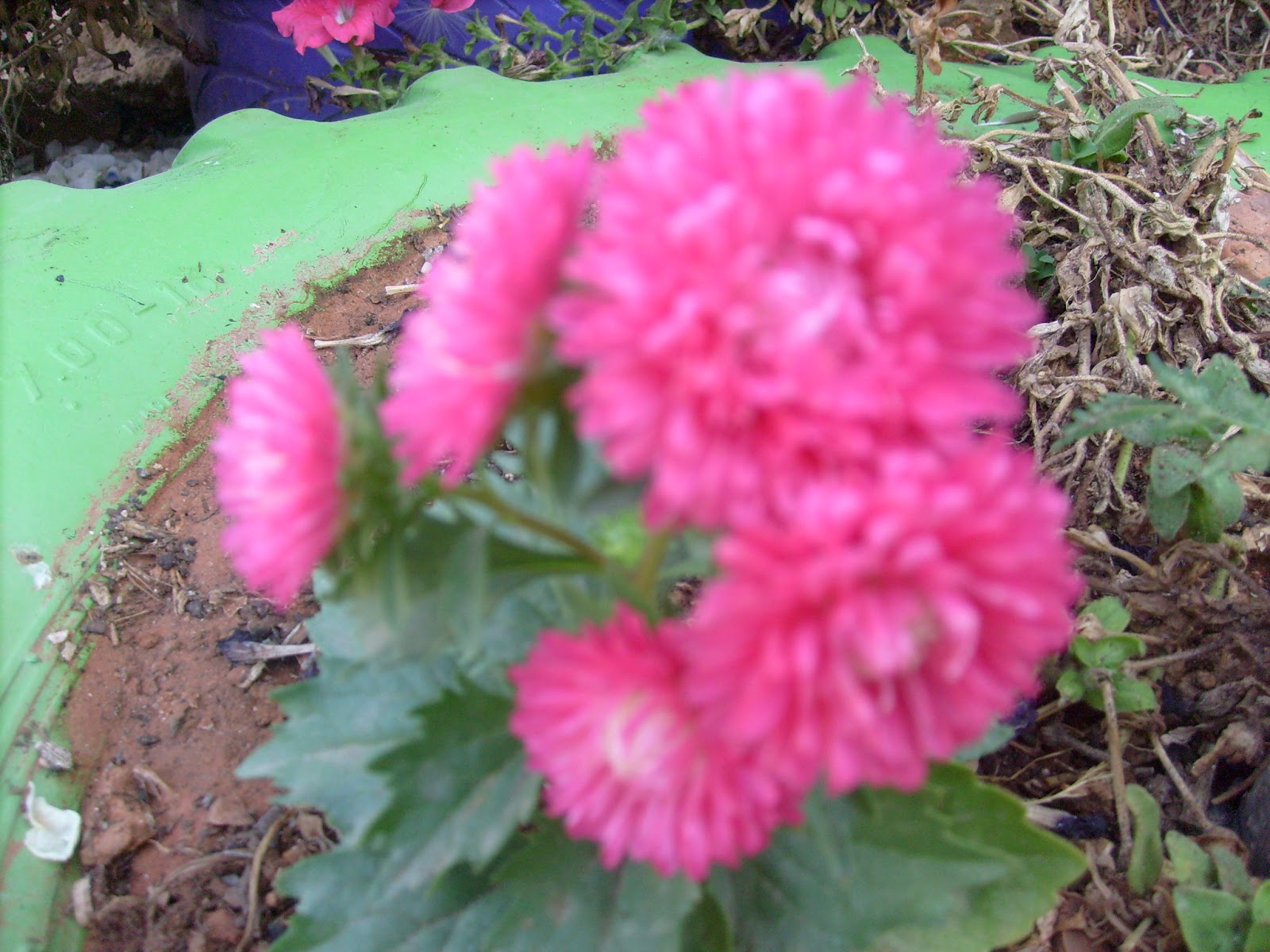 S7301773.JPG
