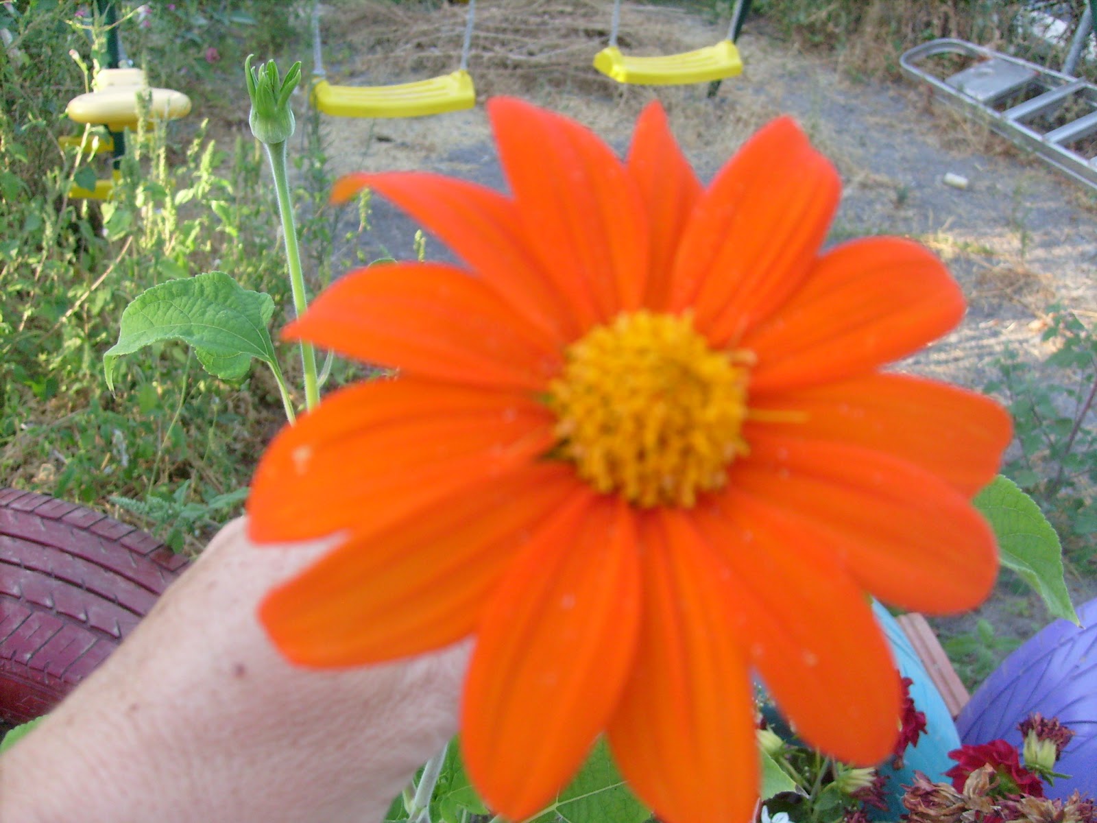 S7301777.JPG