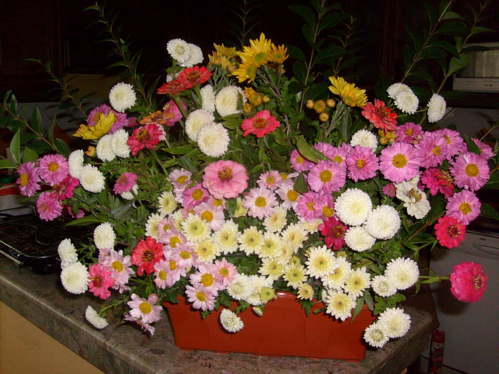 S7301825.JPG