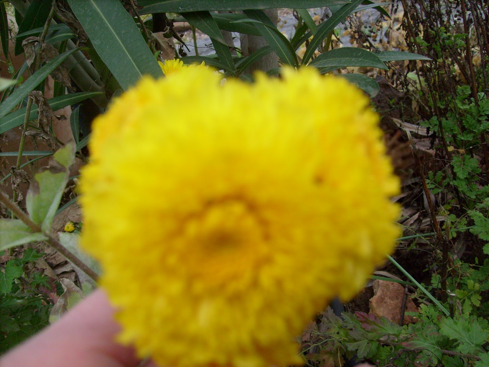 S7301844.JPG