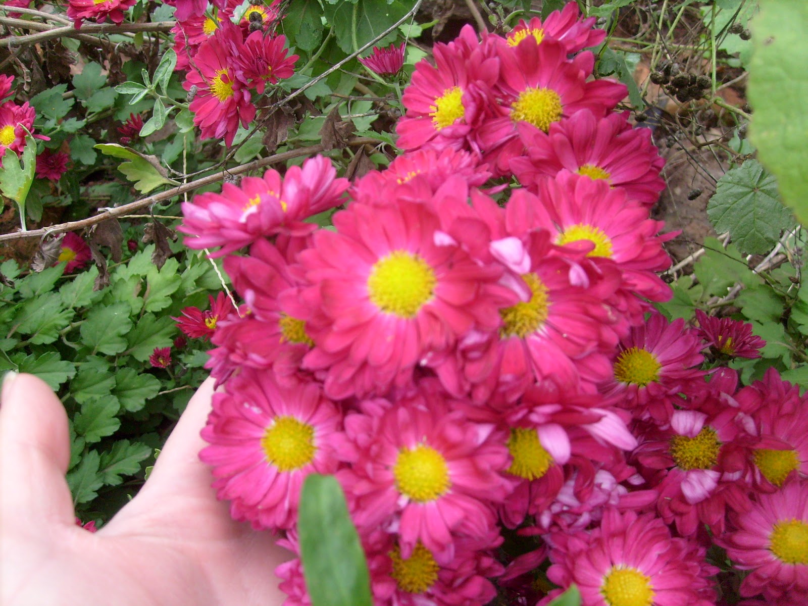 S7301845.JPG
