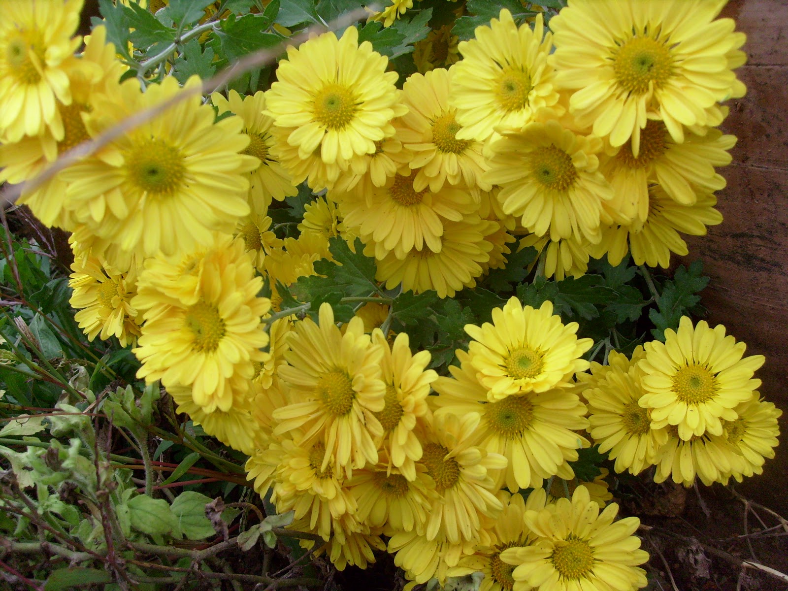 S7301846.JPG