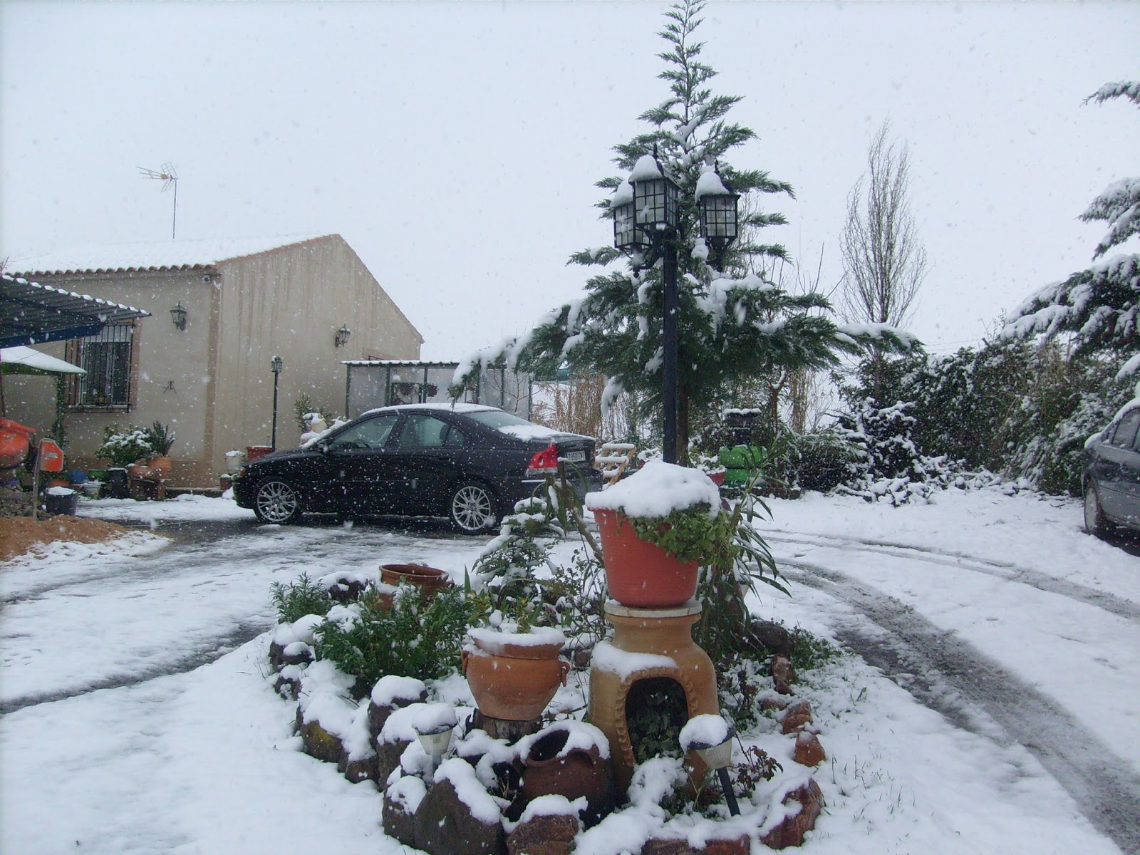 S7301955.JPG