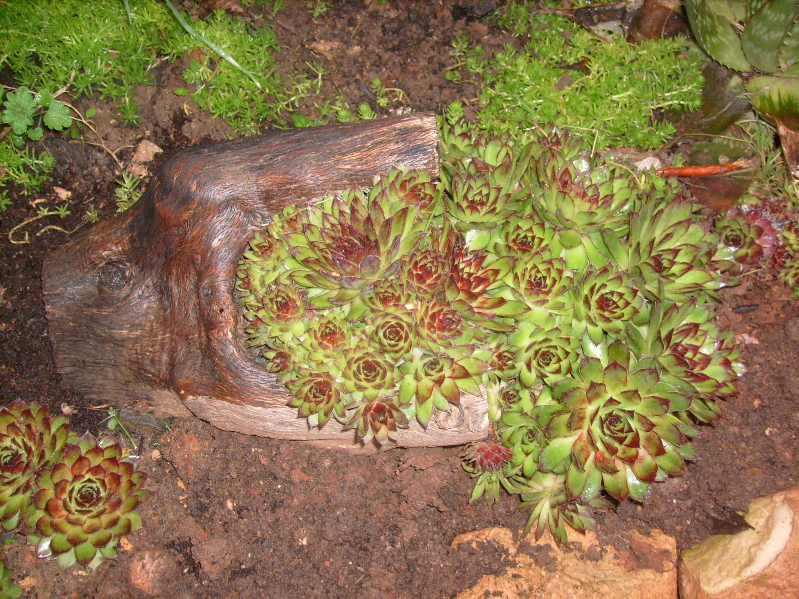 S7301973.JPG