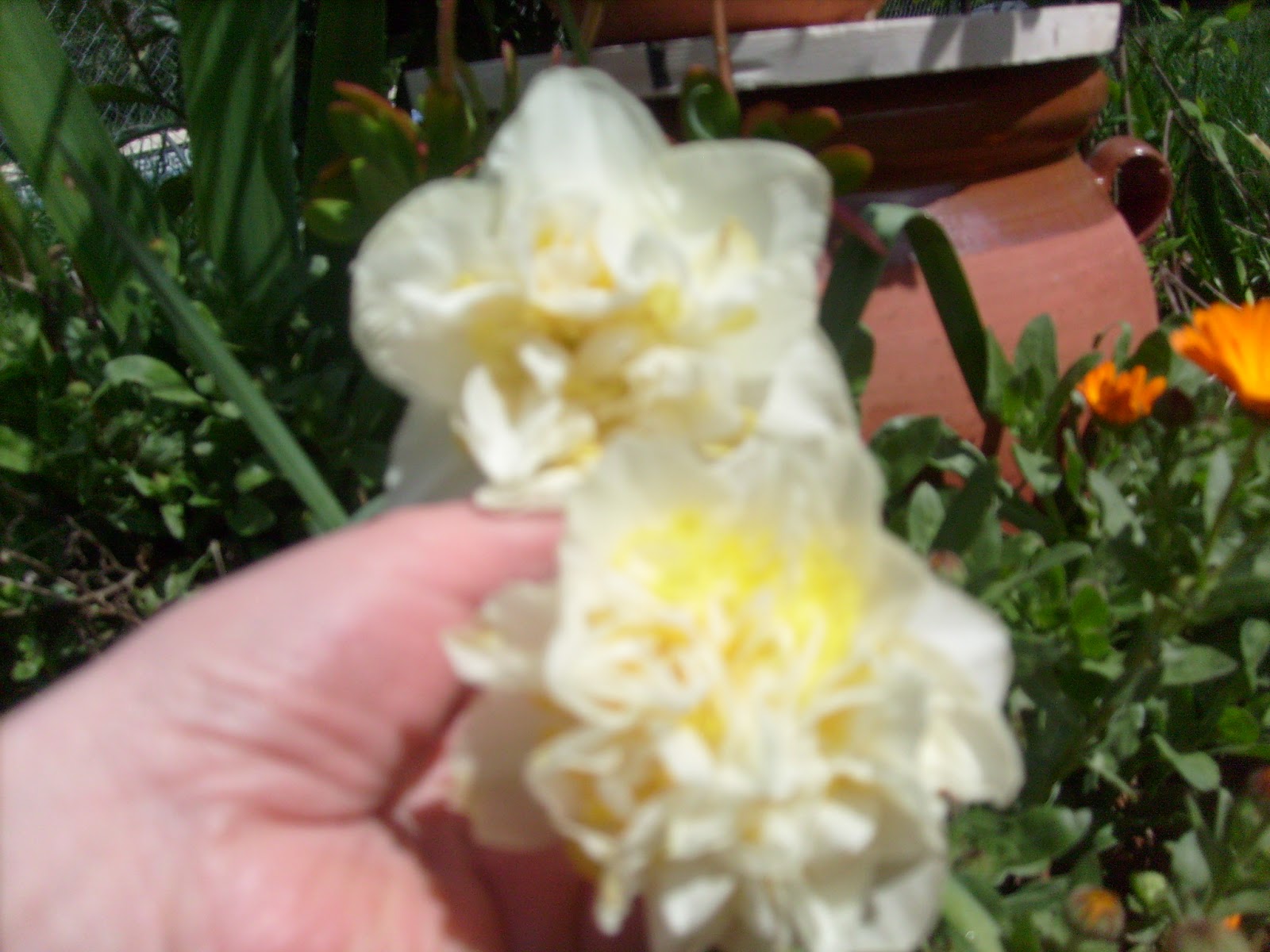 S7302000.JPG