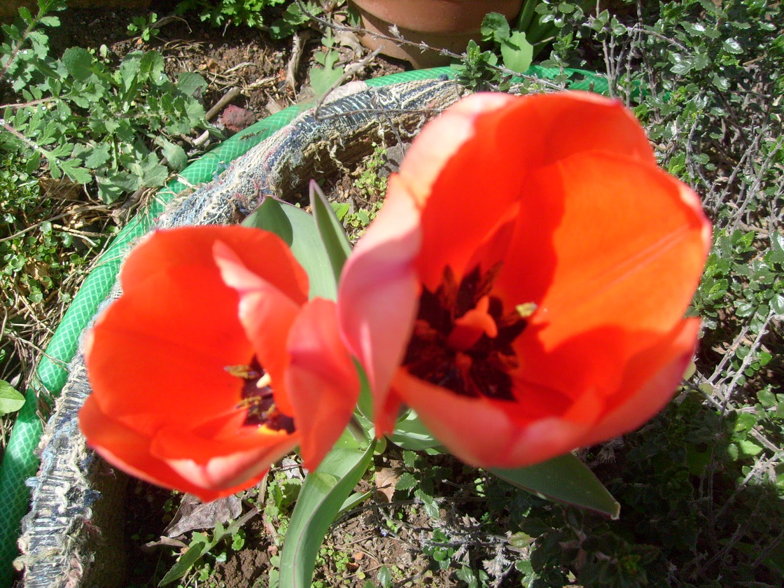 S7302005.JPG