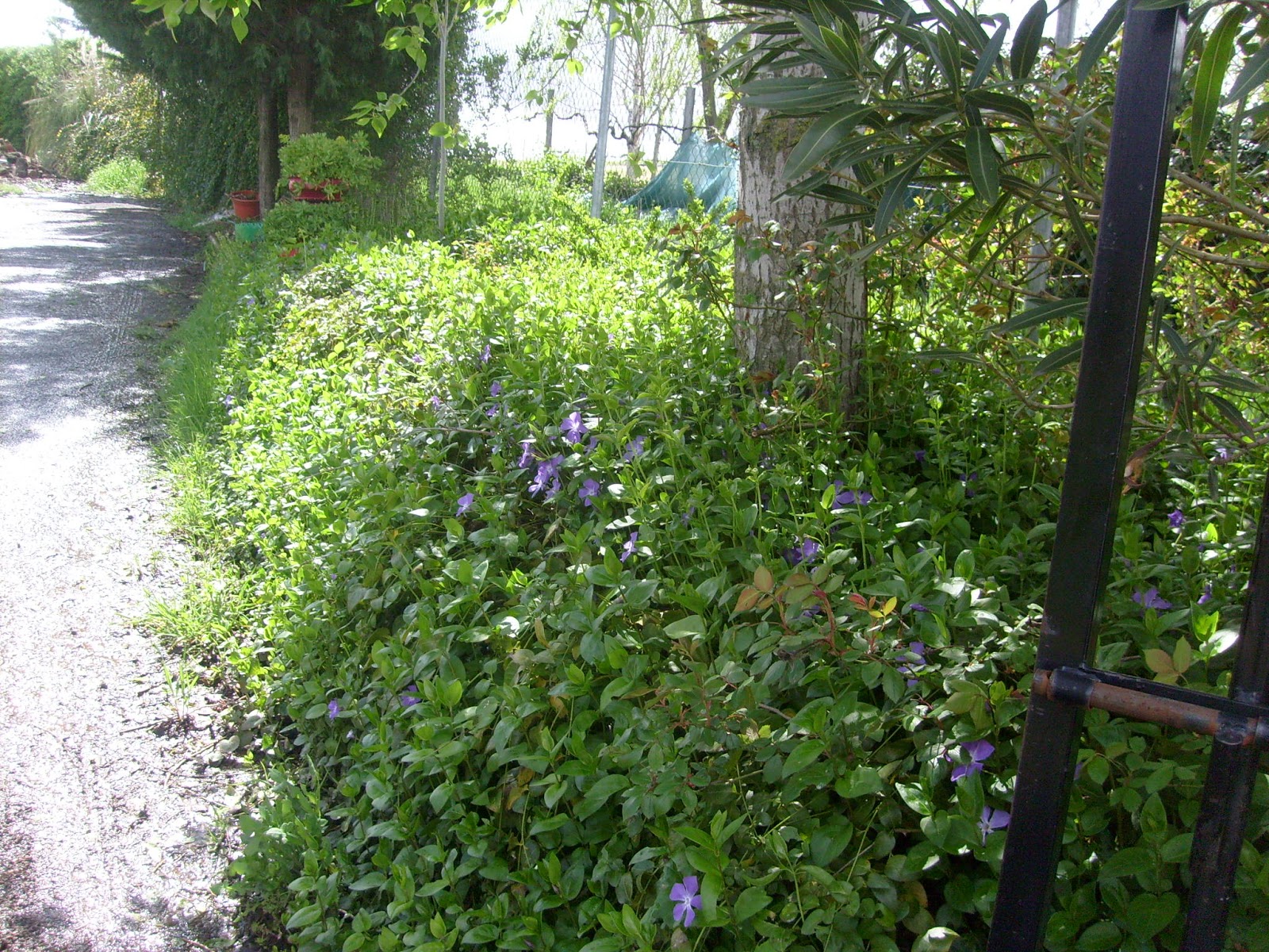 S7302008.JPG