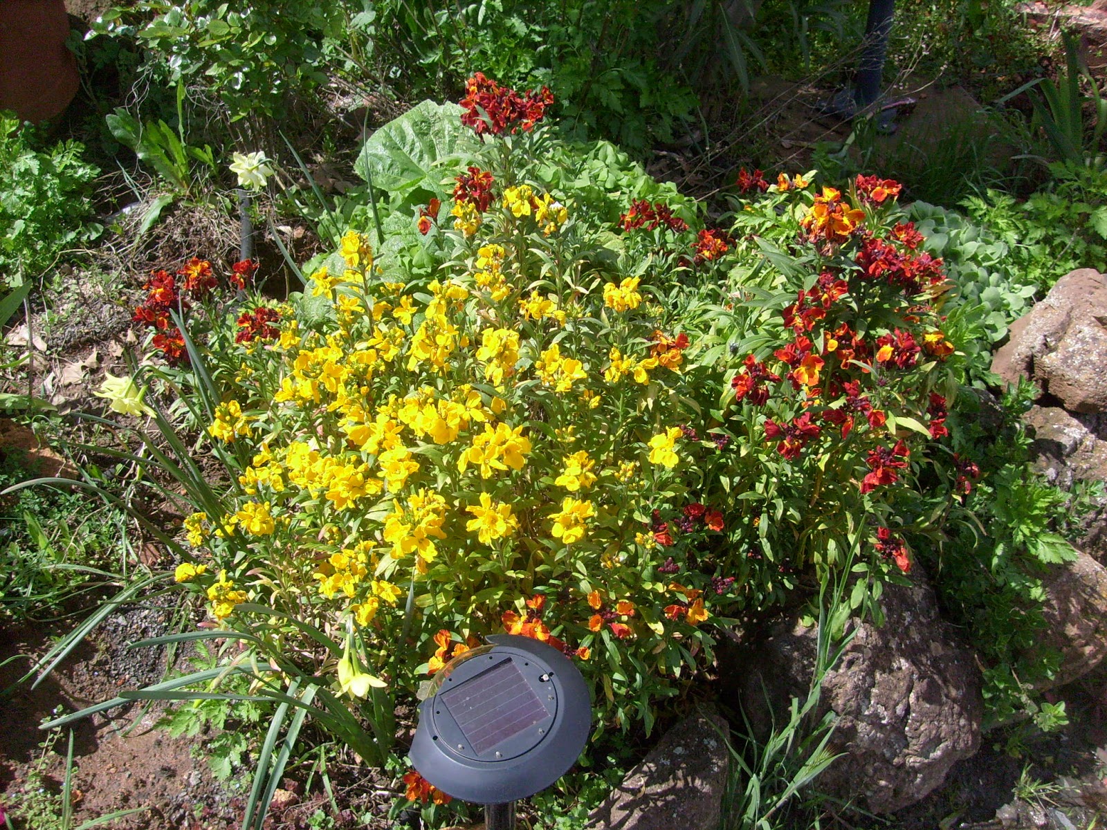 S7302009.JPG
