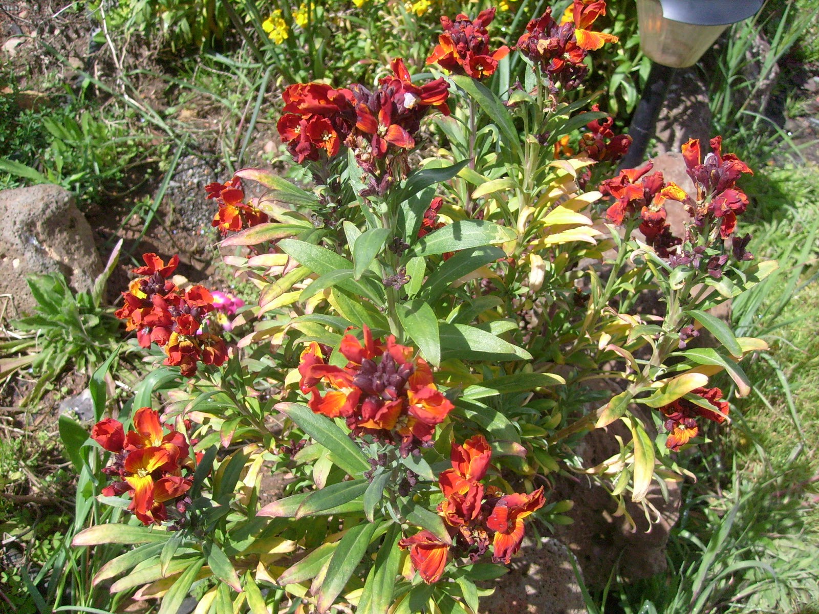 S7302010.JPG