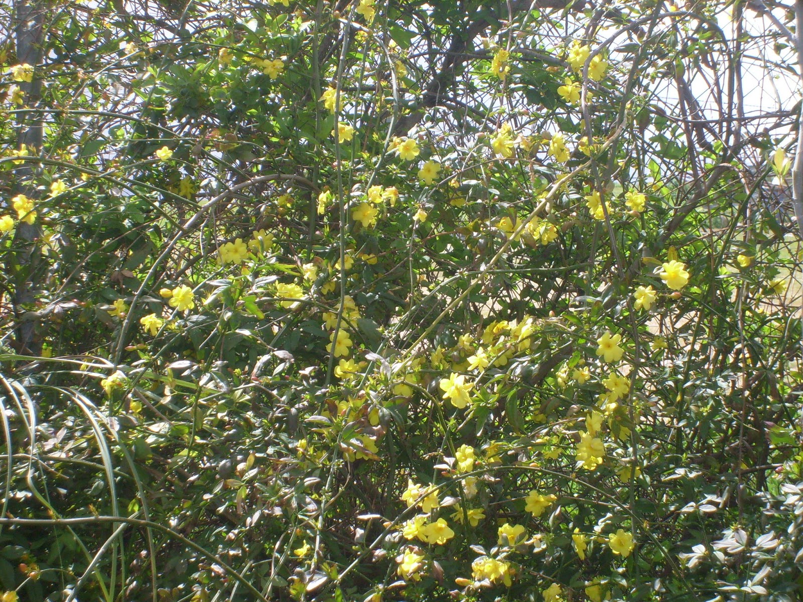 S7302014.JPG
