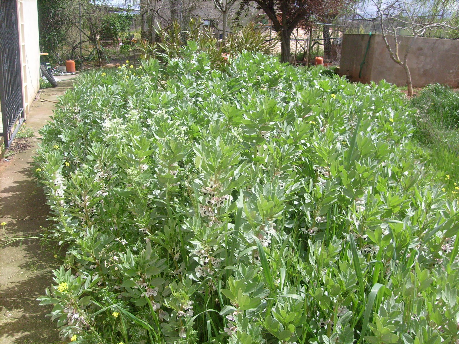 S7302018.JPG