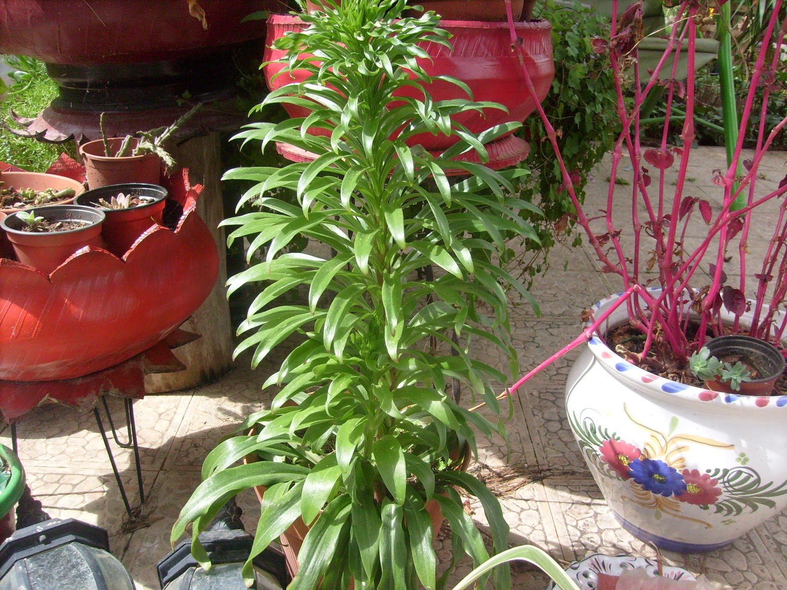 S7302023.JPG