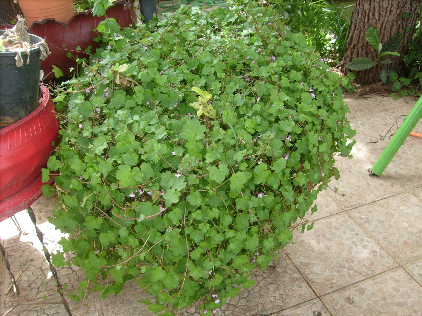 S7302024.JPG