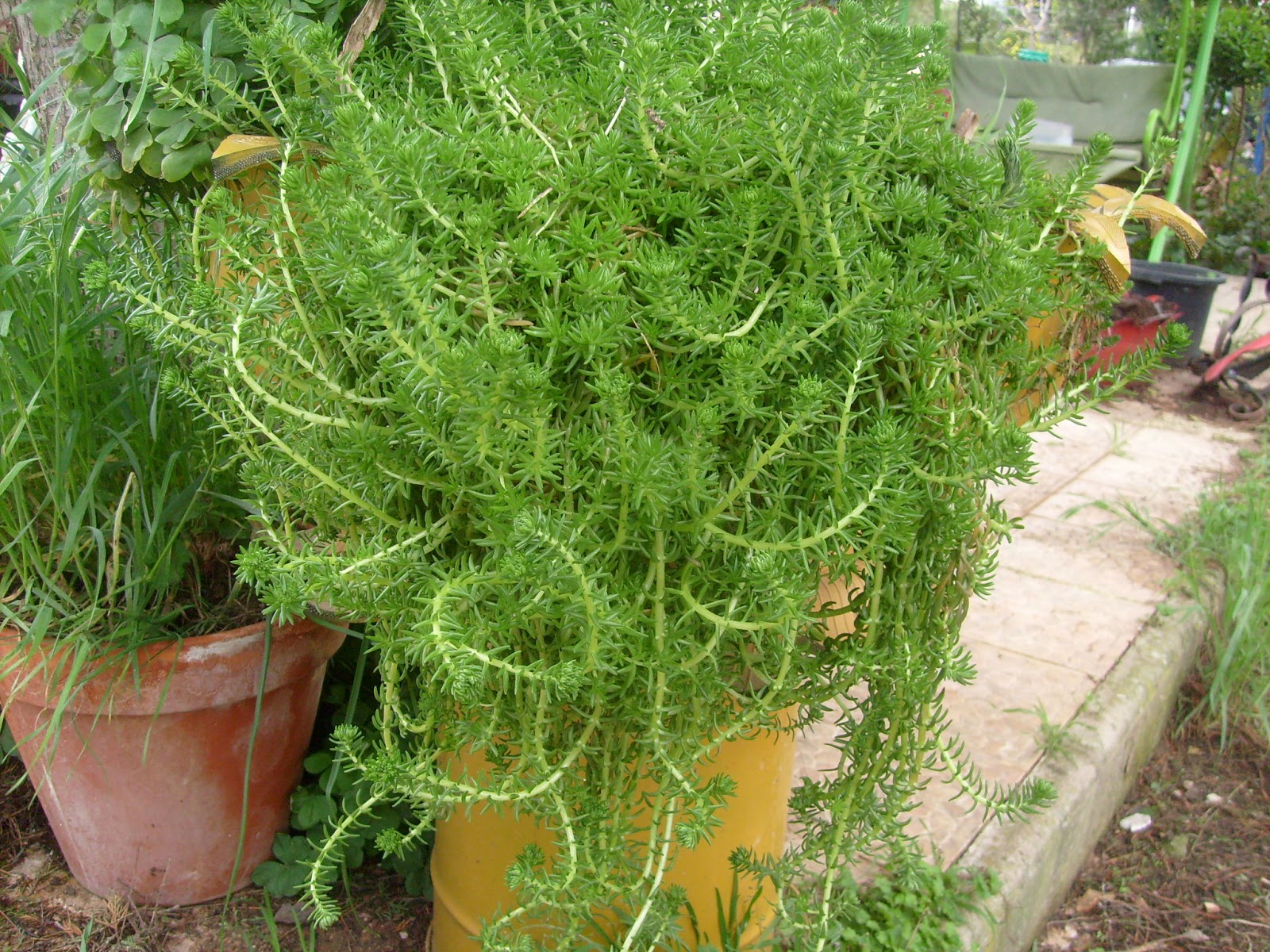 S7302027.JPG
