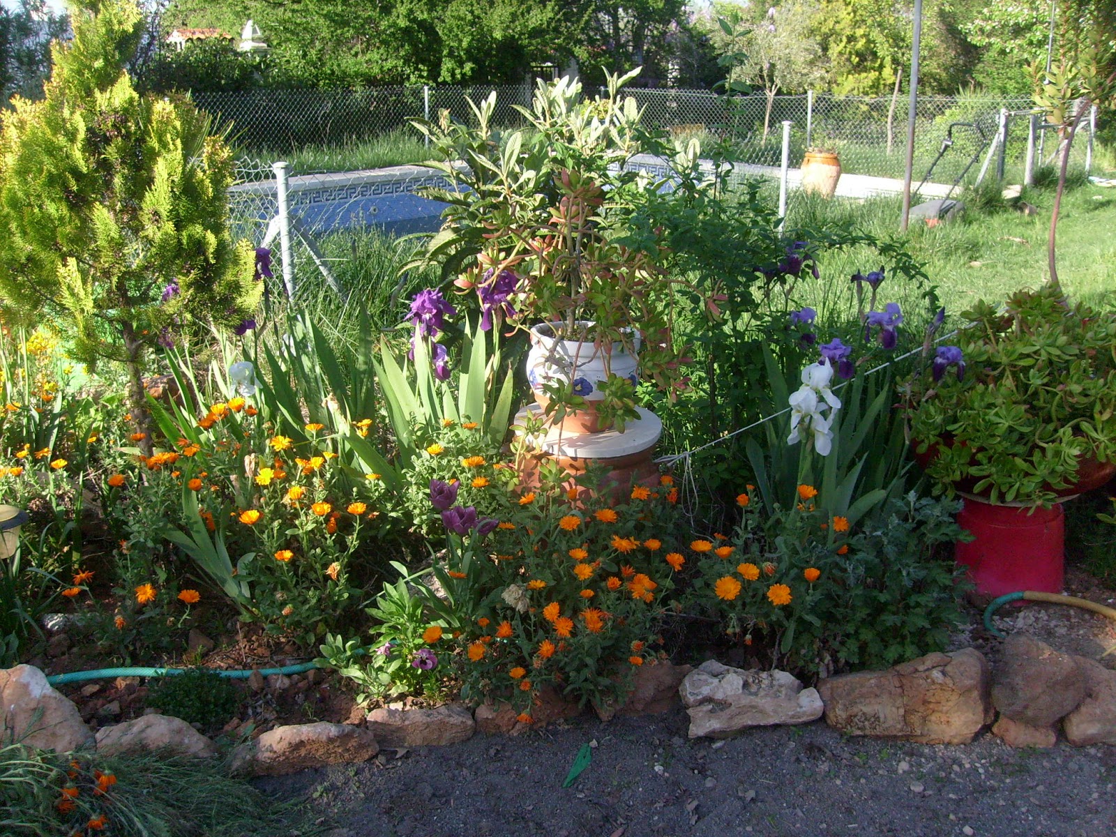 S7302050.JPG
