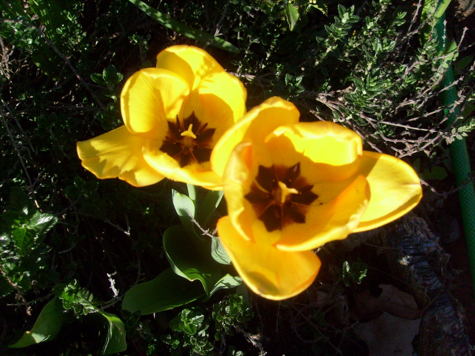 S7302051.JPG