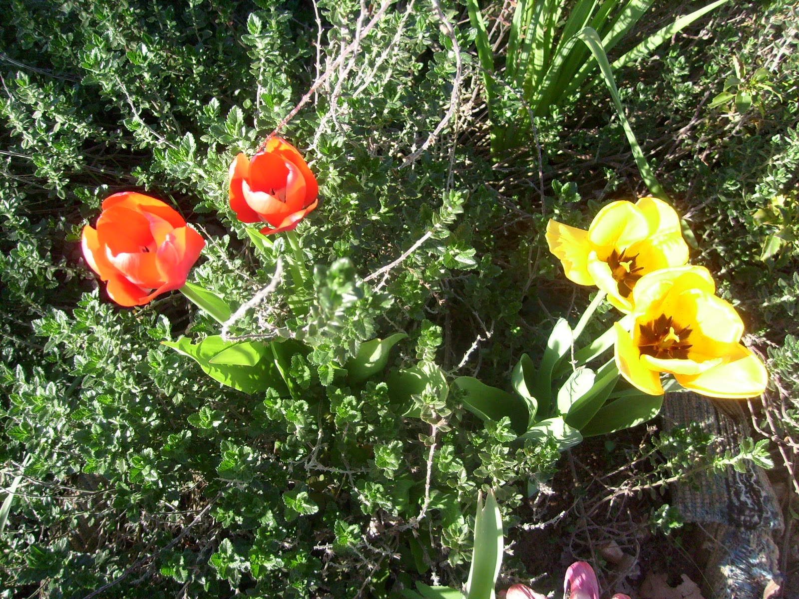 S7302052.JPG