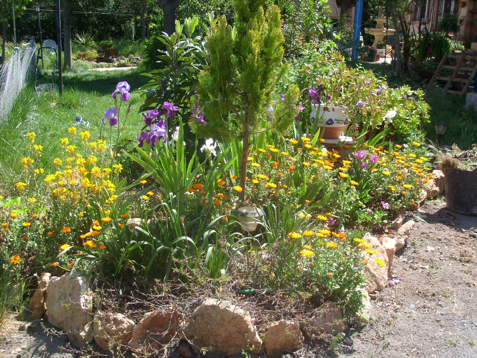 S7302057.JPG