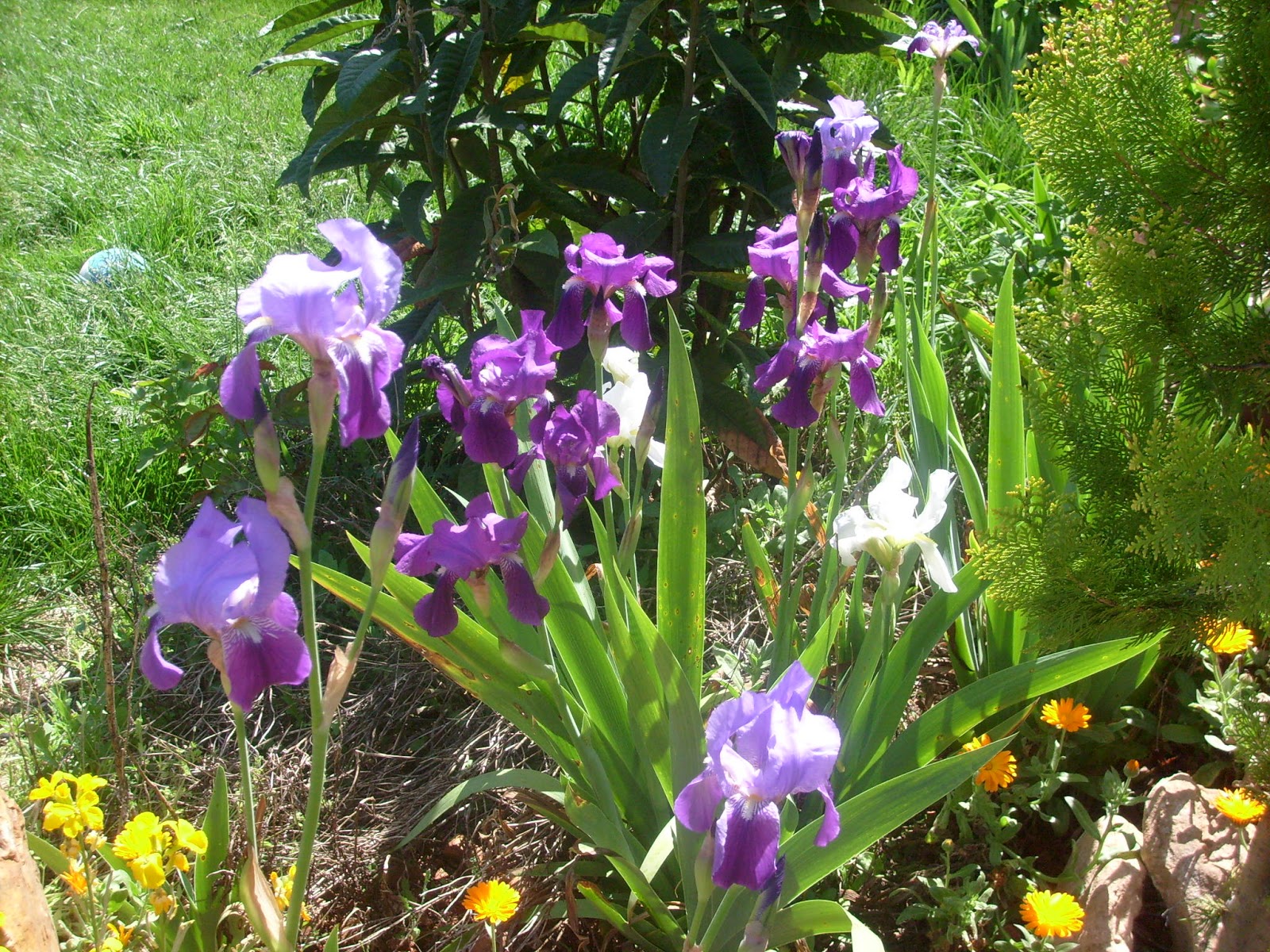 S7302058.JPG