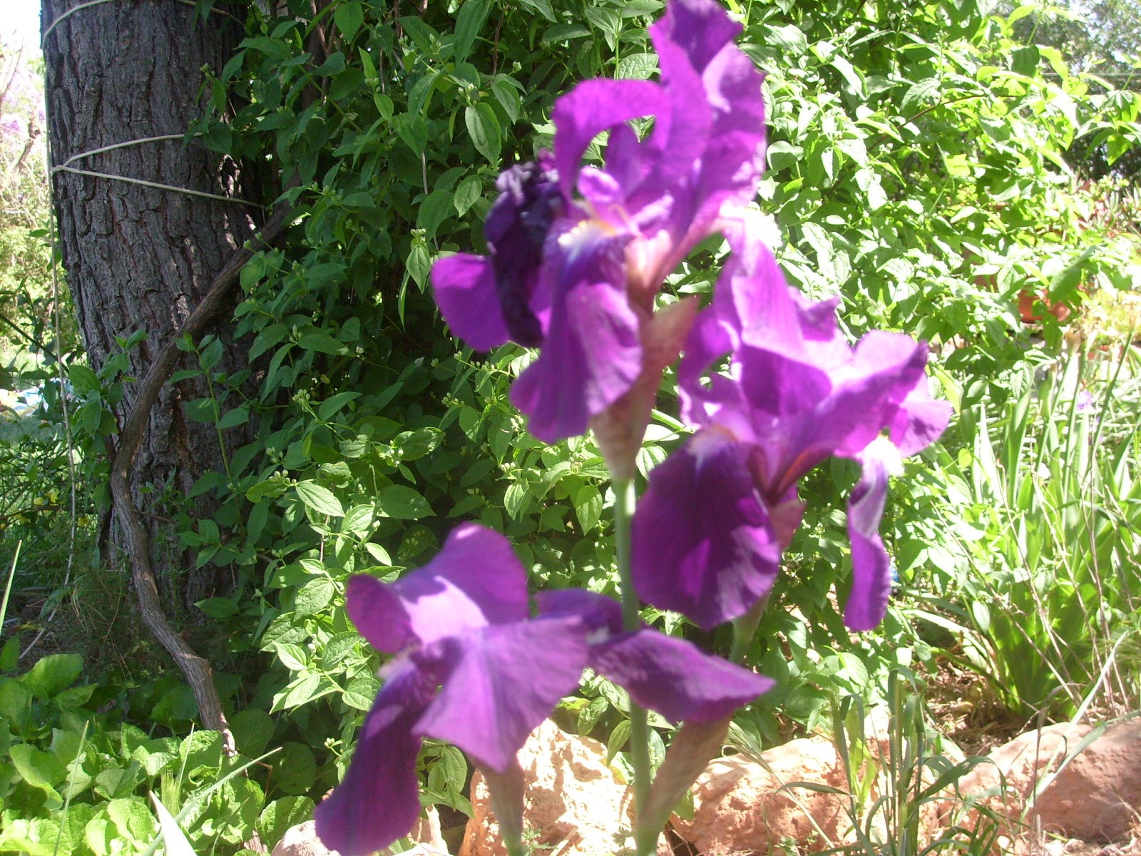 S7302059.JPG