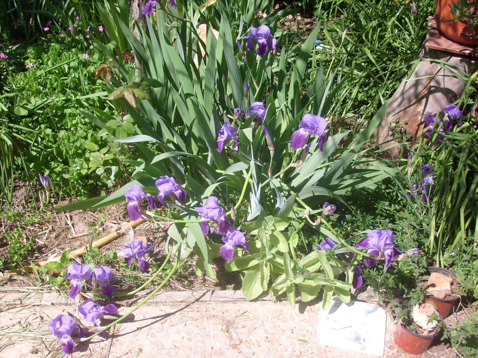 S7302060.JPG
