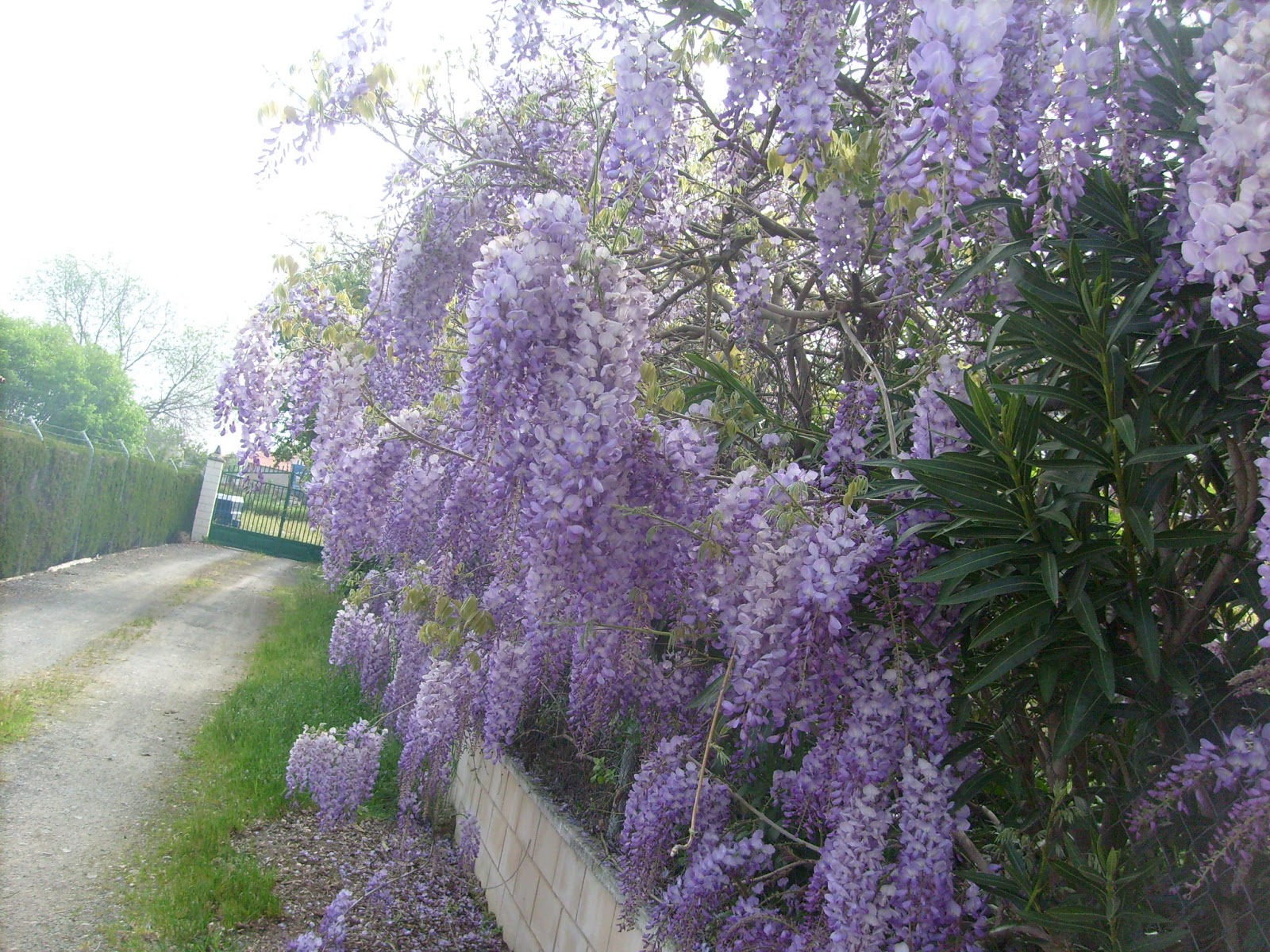 S7302069.JPG