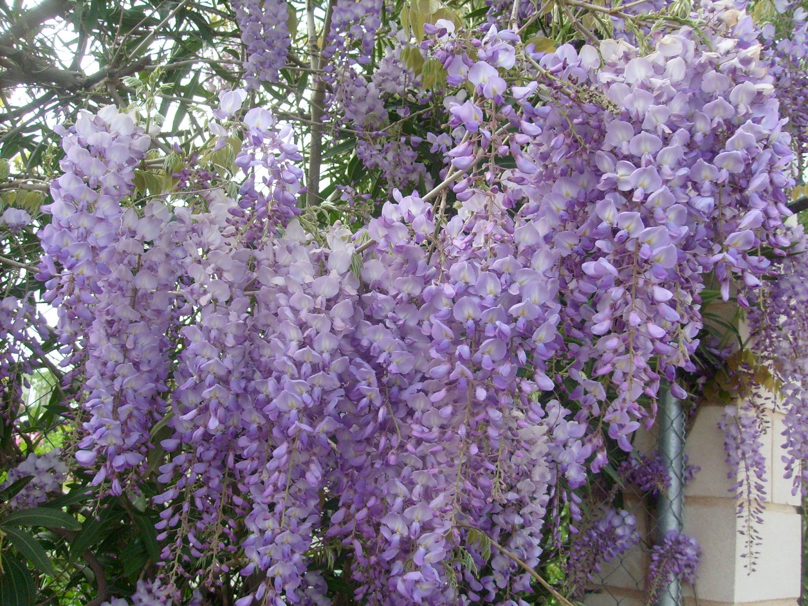 S7302071.JPG