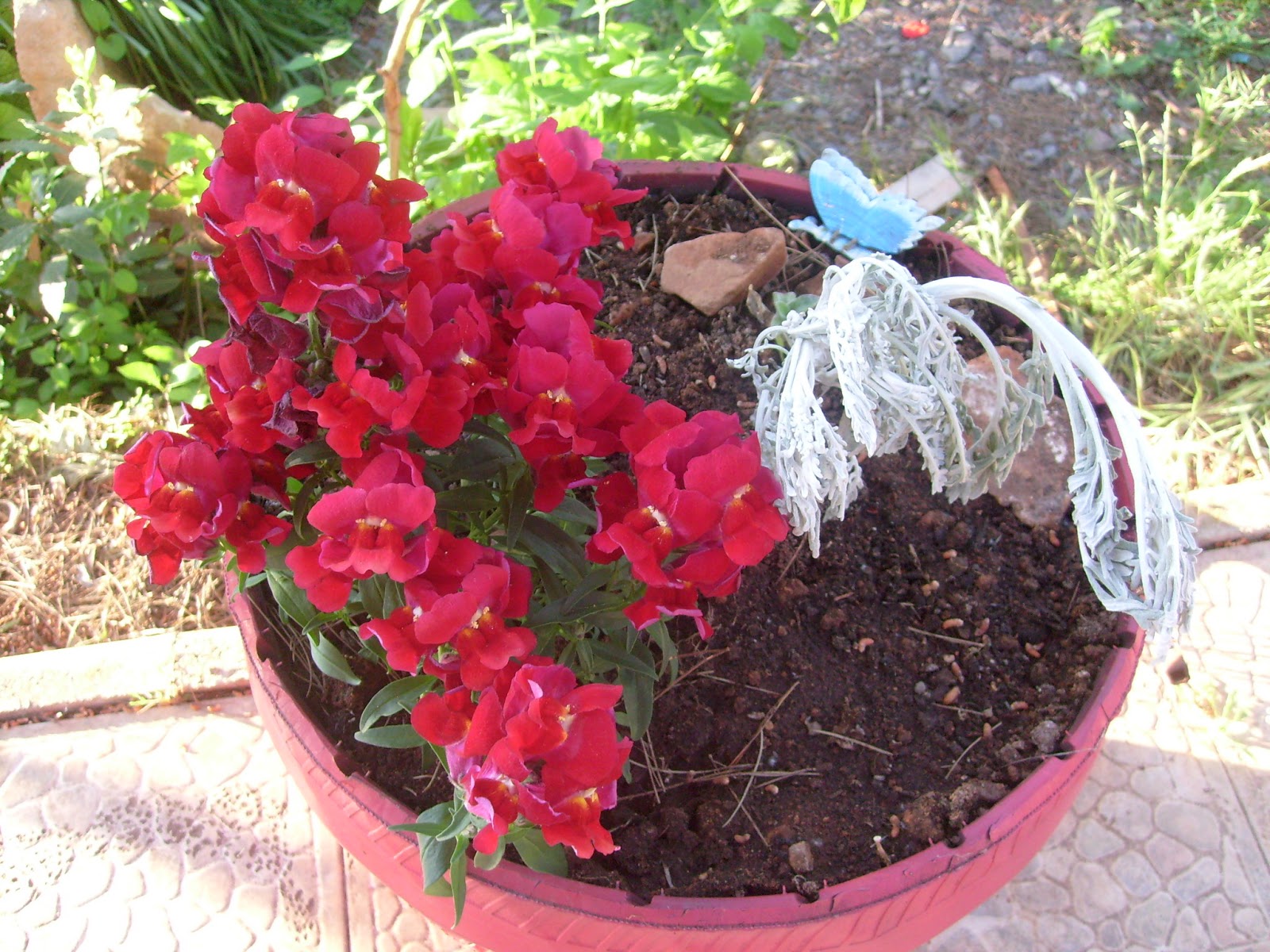 S7302090.JPG