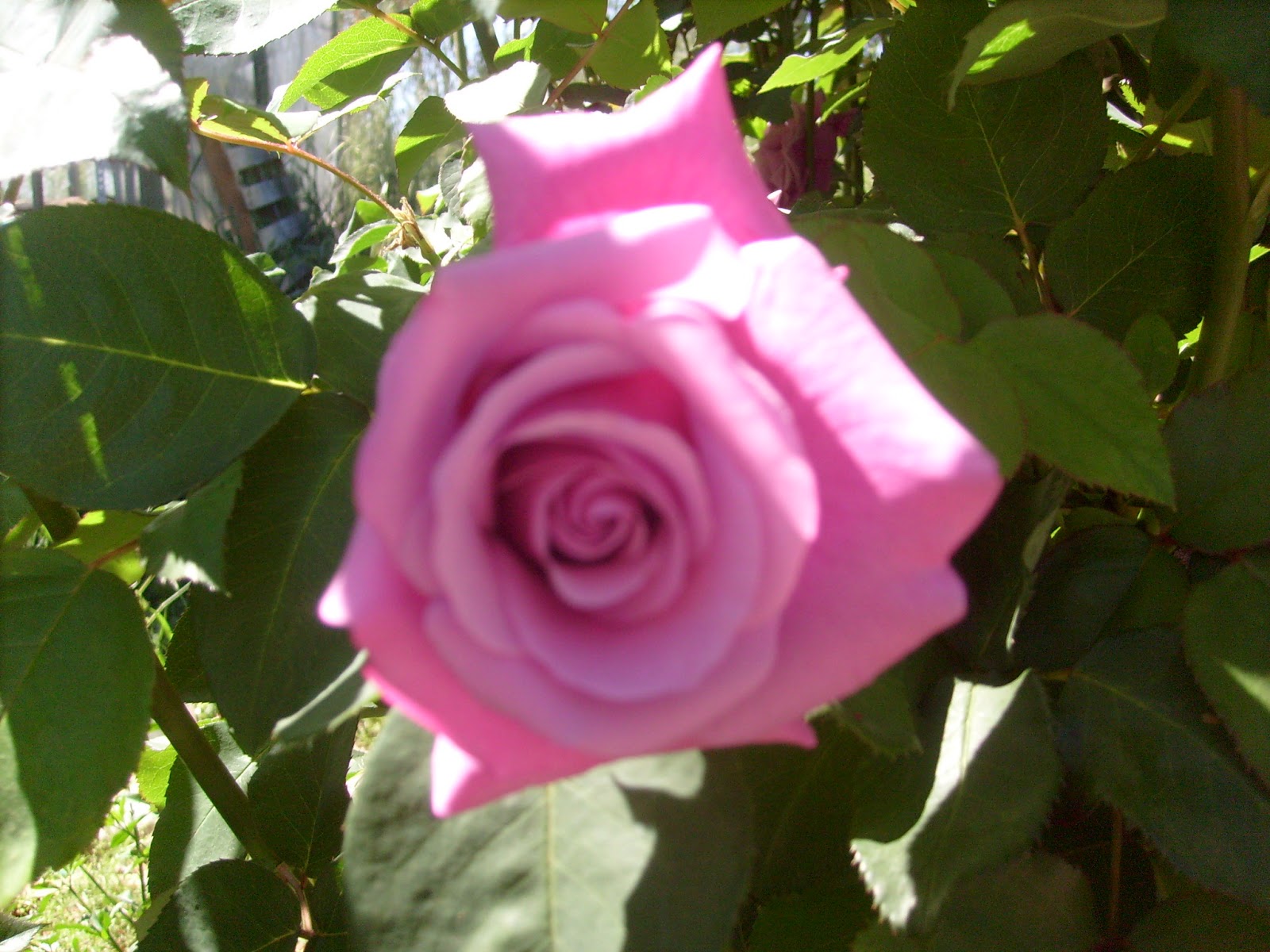 S7302094.JPG