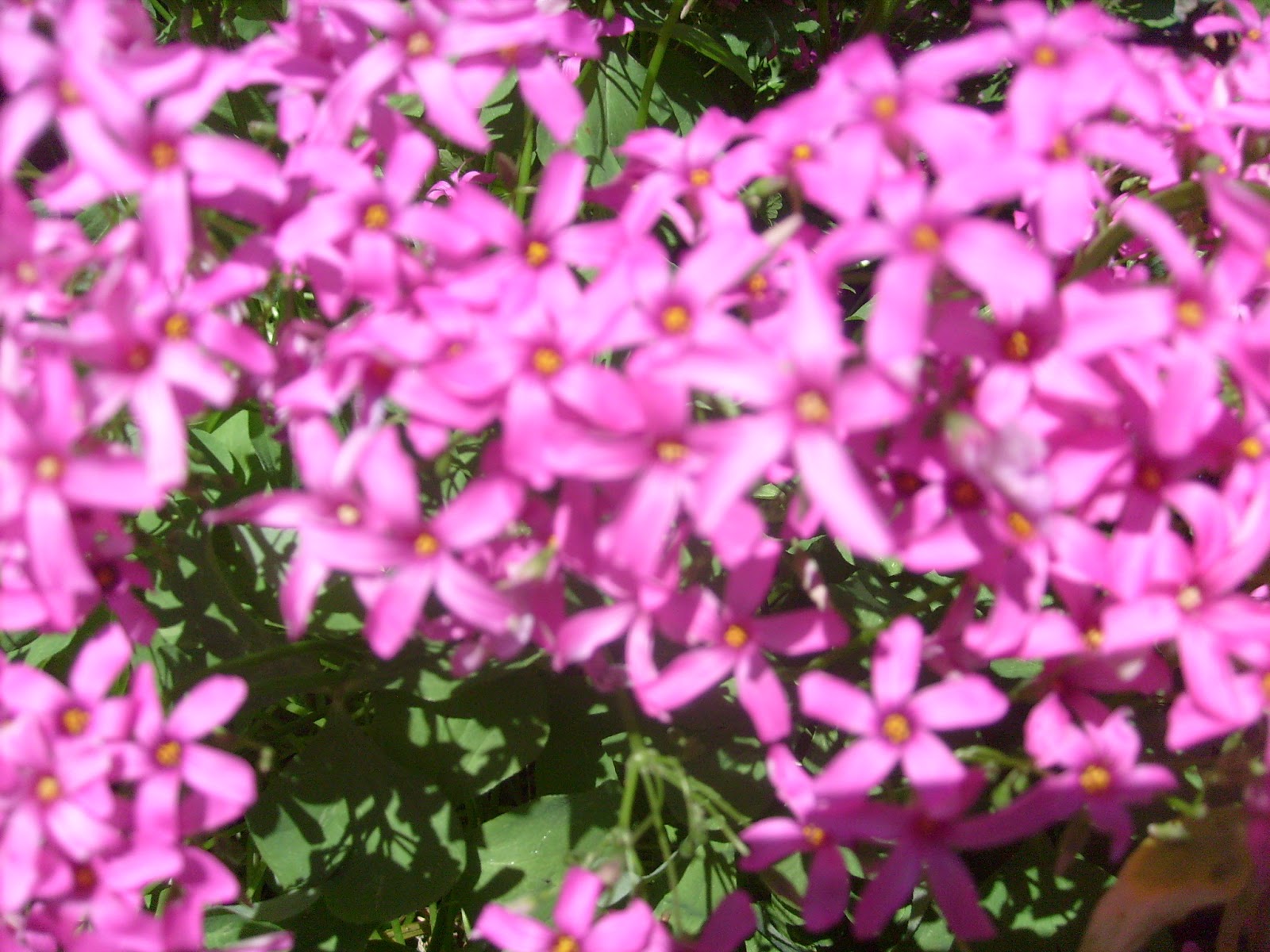 S7302099.JPG