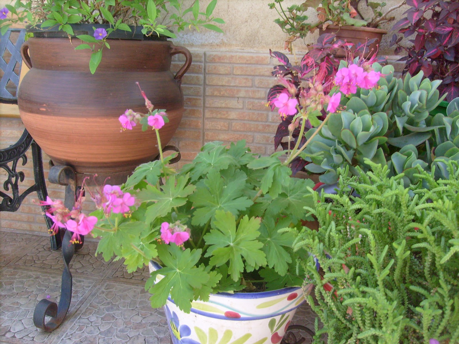 S7302105.JPG