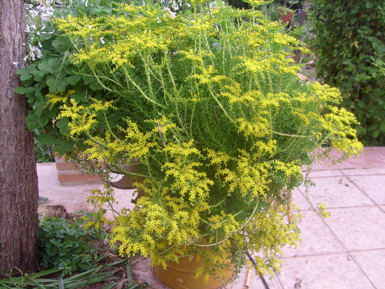 S7302111.JPG