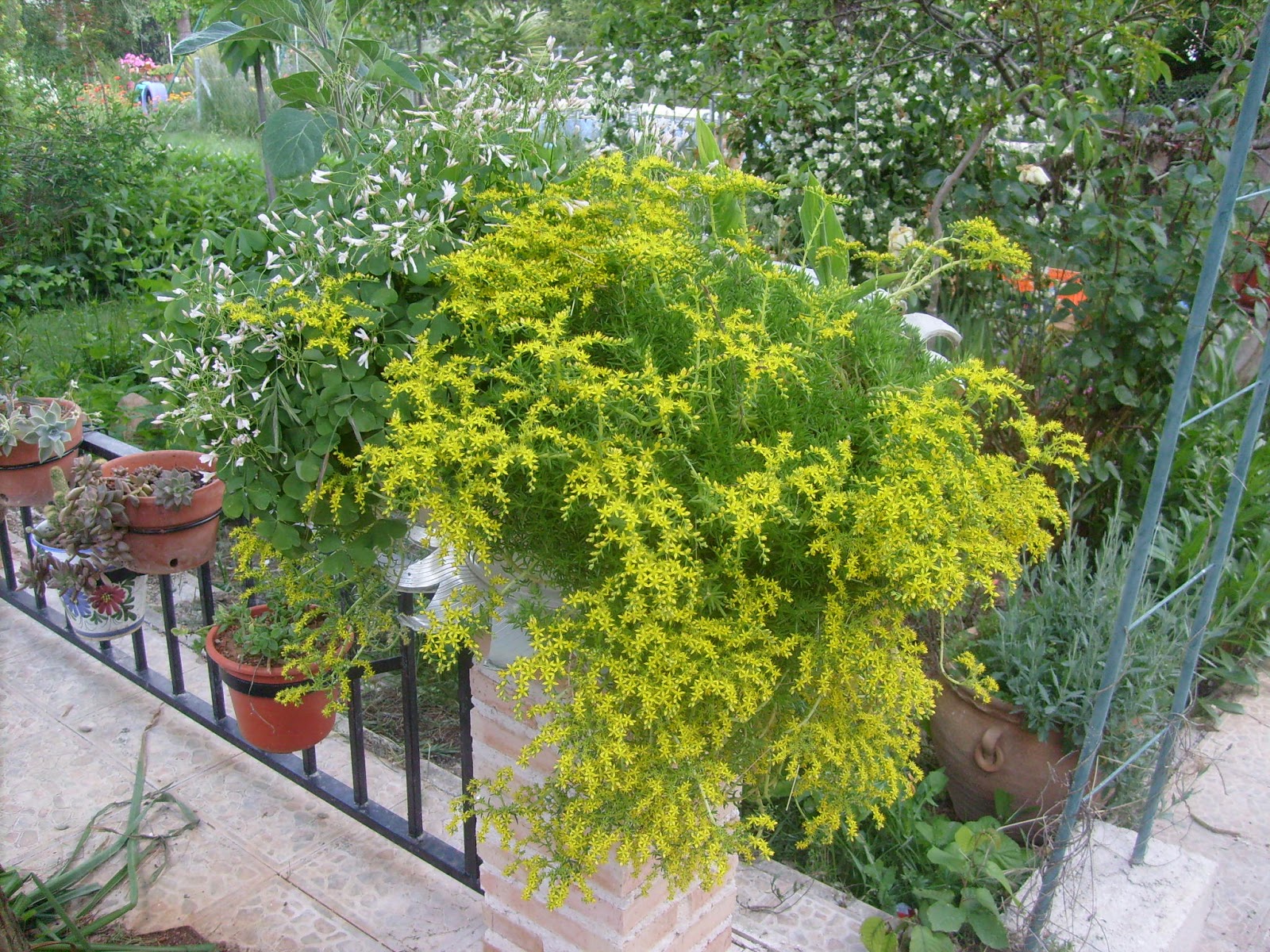 S7302116.JPG