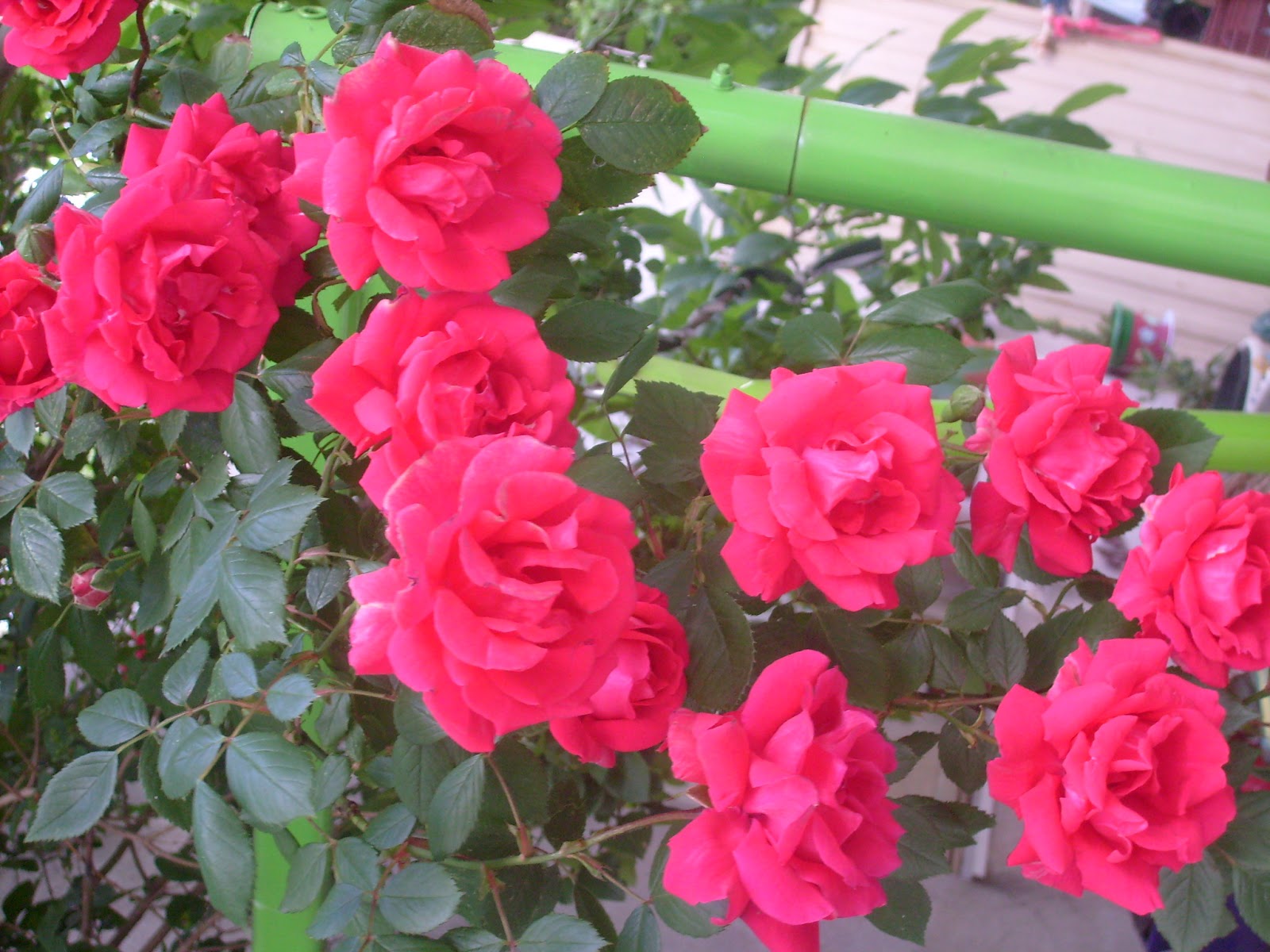 S7302121.JPG