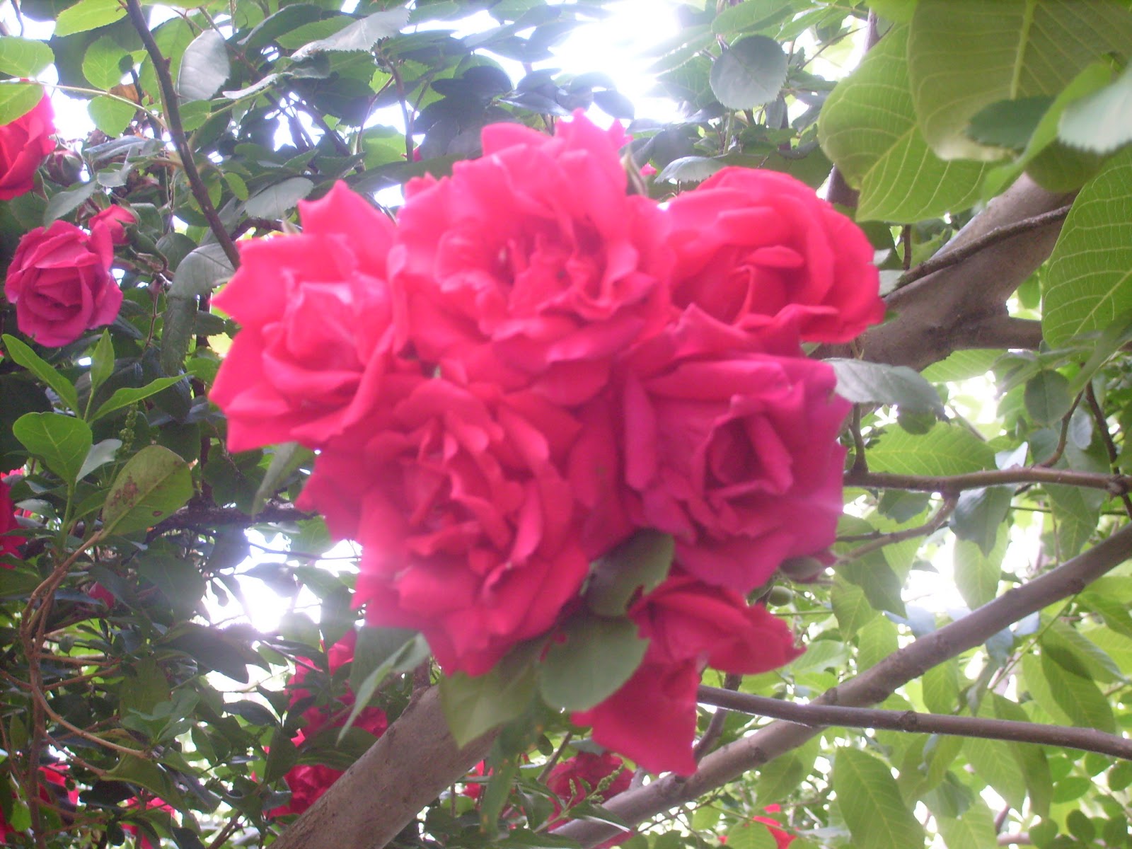 S7302122.JPG