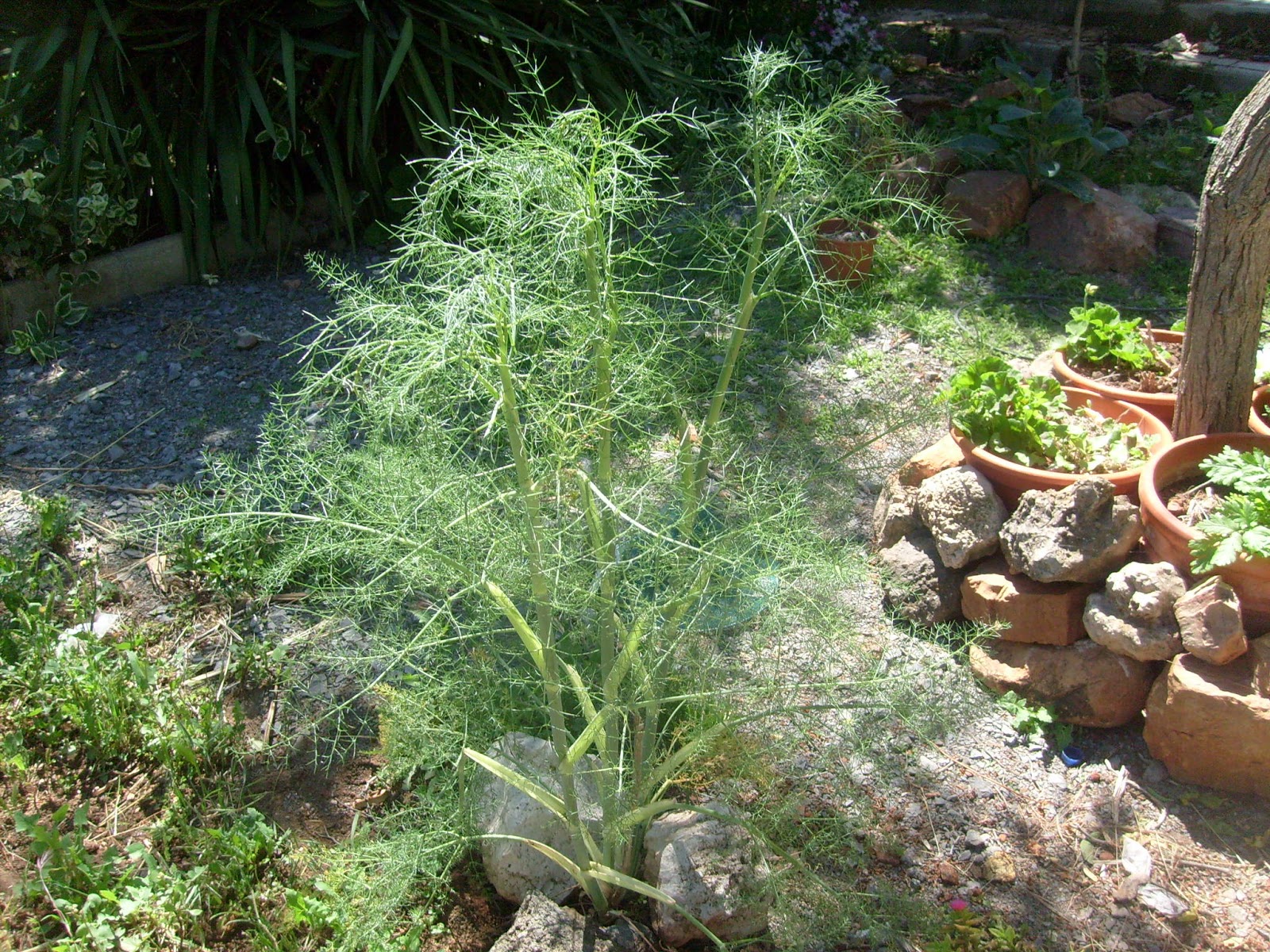 S7302129.JPG