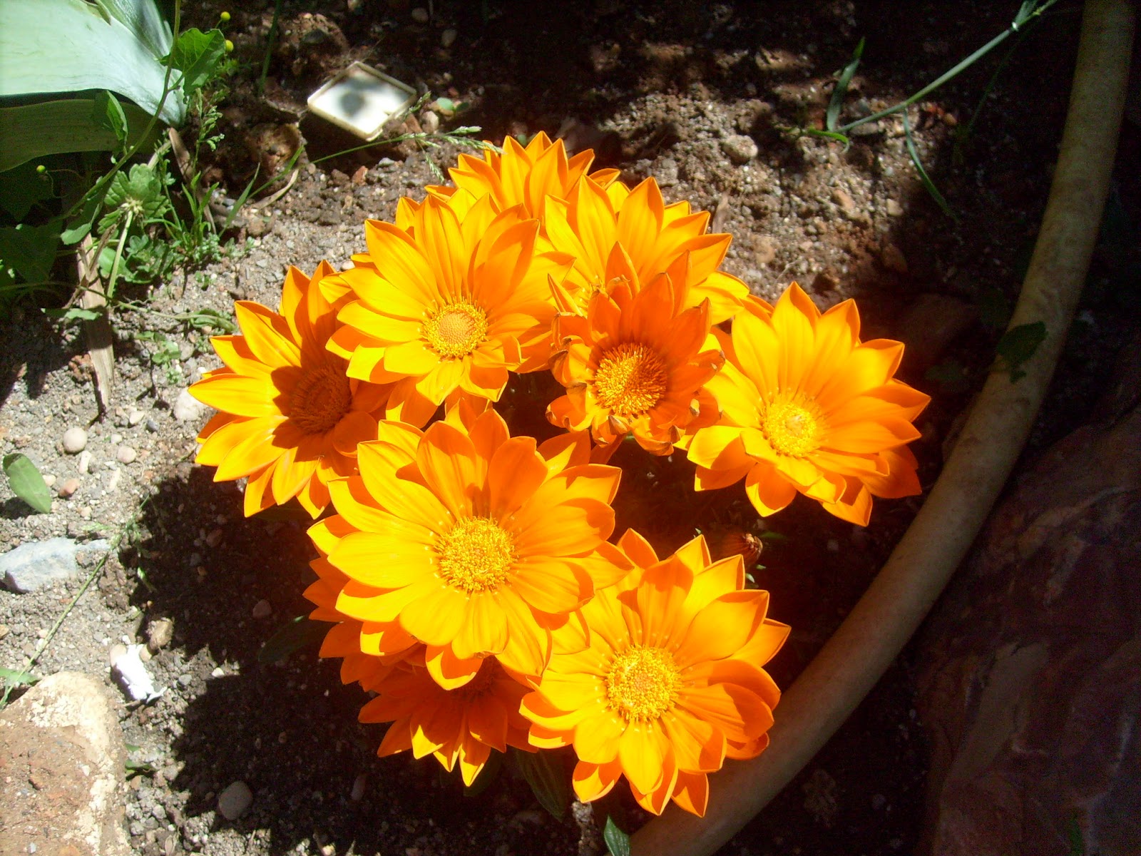 S7302131.JPG