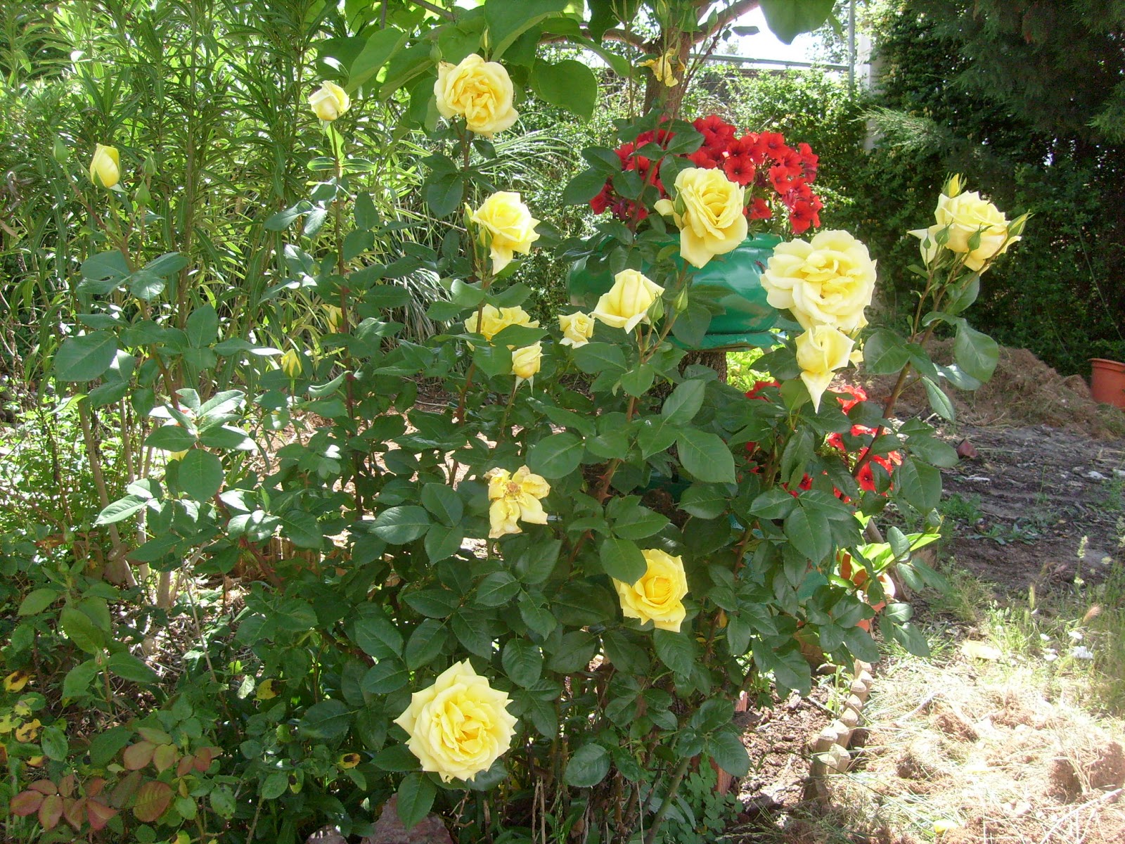 S7302137.JPG