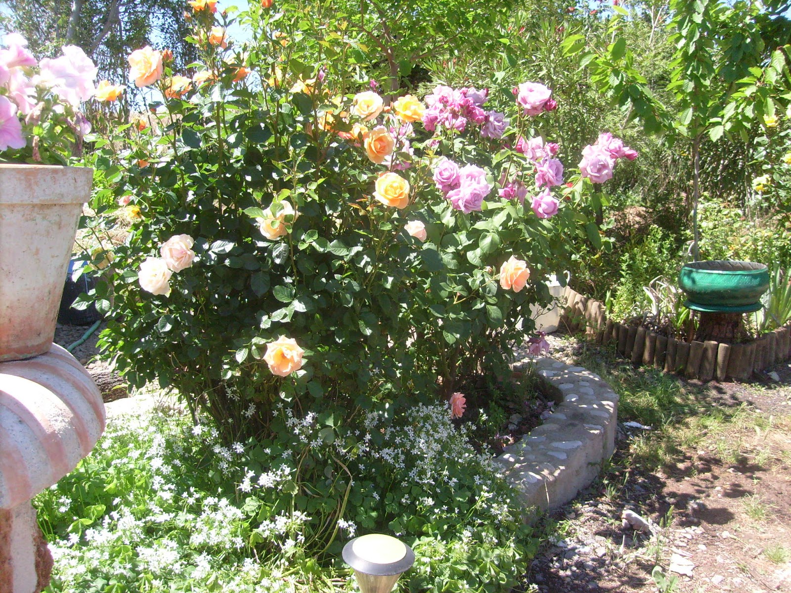 S7302144.JPG
