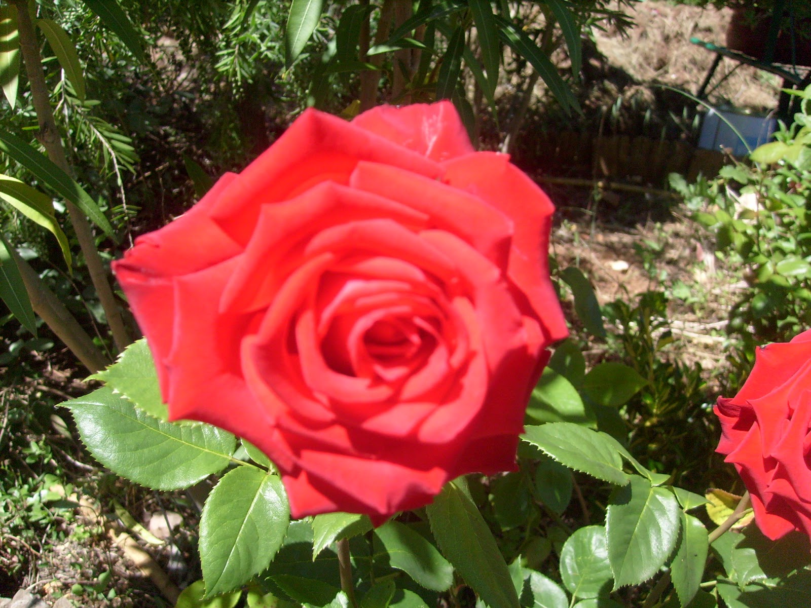 S7302148.JPG