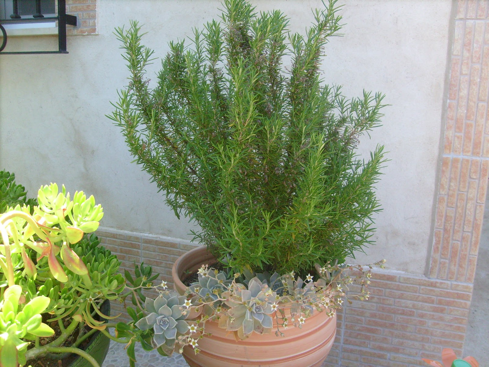 S7302150.JPG