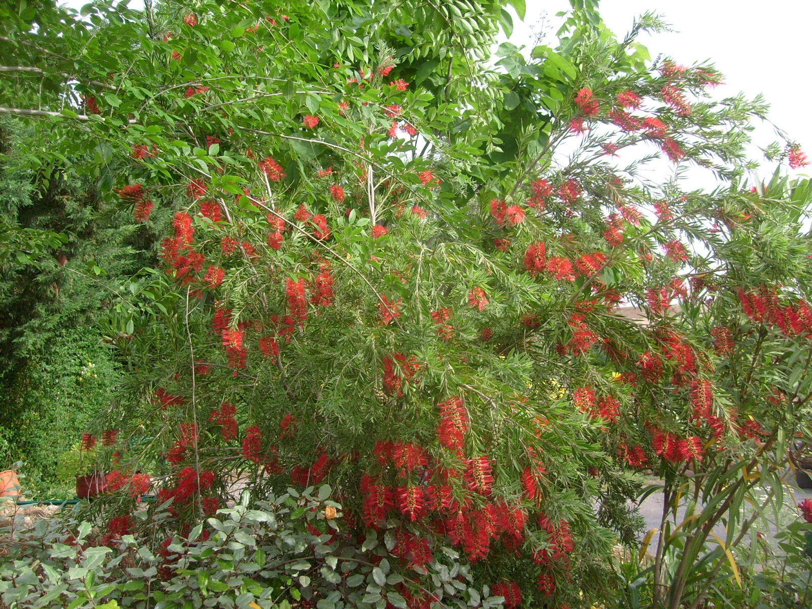 S7302155.JPG