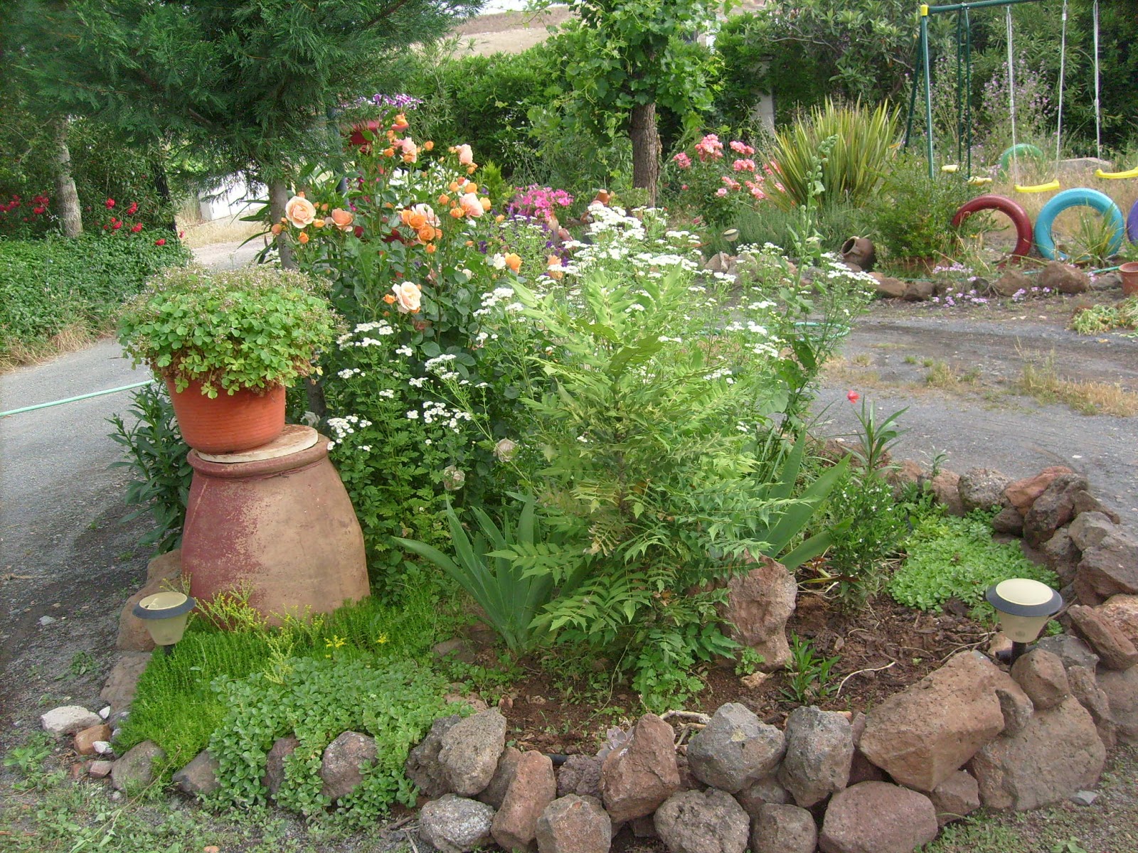 S7302156.JPG